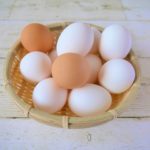 各種ミネラルの役割⑮―硫黄S