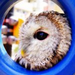 ミネラル不足は不調の原因