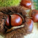 秋の味覚　栗に含まれるミネラル