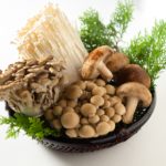 秋の味覚　きのこに含まれるミネラル