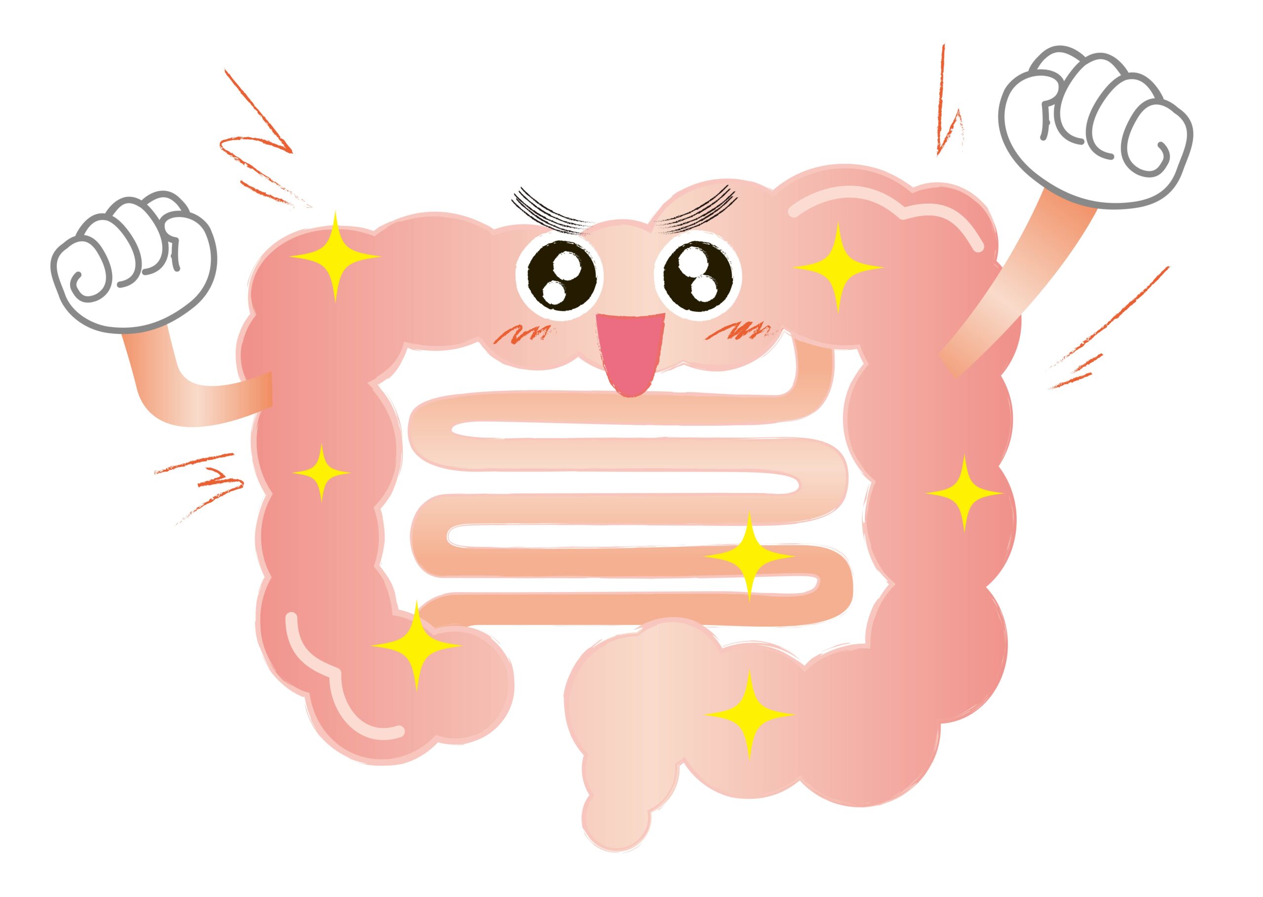 腸内環境改善で免疫力アップ―善玉菌を増やす方法