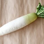 黄色っぽい大根をミネラル水（フルボ酸水）につけておくと